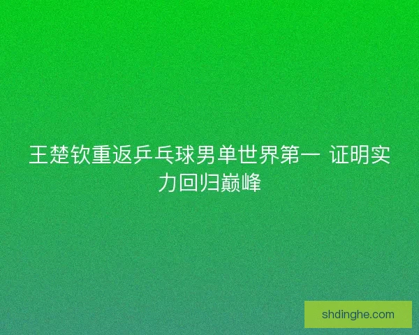 王楚钦重返乒乓球男单世界第一 证明实力回归巅峰