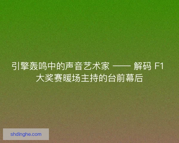 引擎轰鸣中的声音艺术家 —— 解码 F1 大奖赛暖场主持的台前幕后