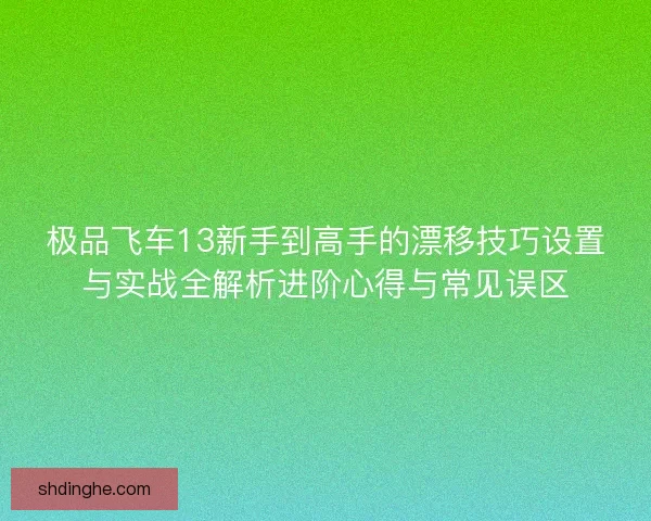 极品飞车13新手到高手的漂移技巧设置与实战全解析进阶心得与常见误区